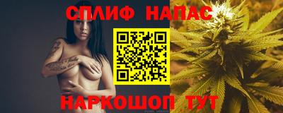 МДПВ Будённовск