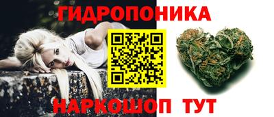МДПВ Будённовск