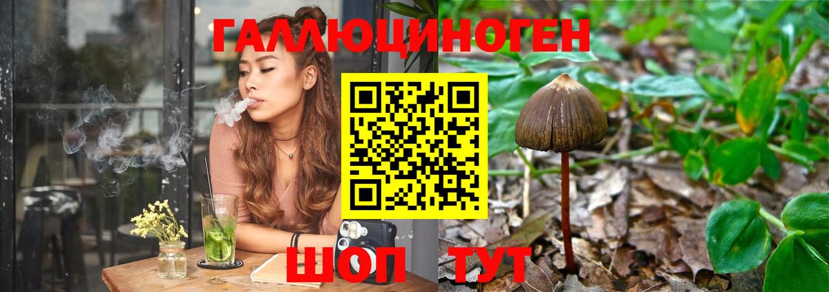 Галлюциногенные грибы мицелий  Псилоцибиновые грибы Magic Shrooms  Коммунар  Вход с VPN 